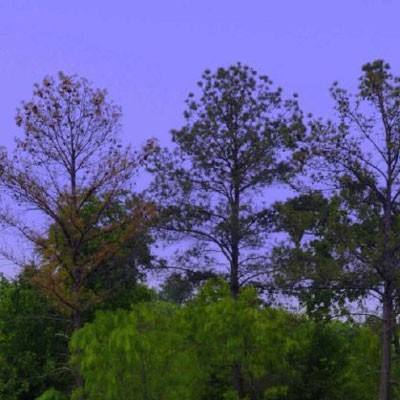 云平台app手机版下载