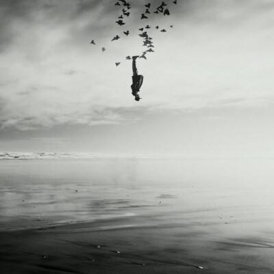 开云电竞app下载