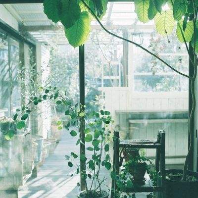 IM体育官网登录入口