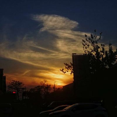 B体育·(sports)官方网站下载手机版