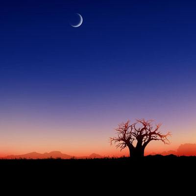 皇冠app官方版下载安装截图