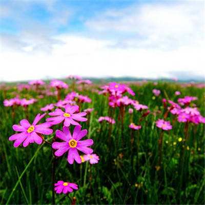 BOB体育APP官方下载