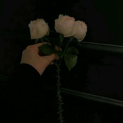 风云体育app官网入口截图