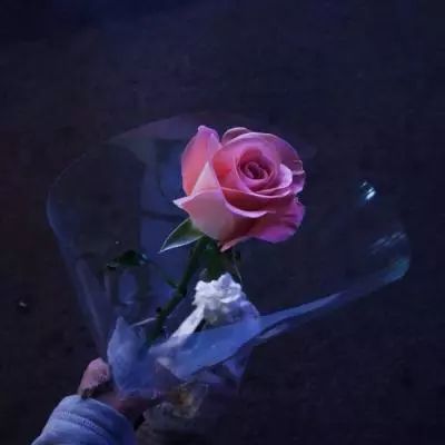 皇冠正规娱乐平台手机app下载